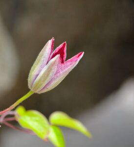 副業初心者はいくら稼げれば十分なのか？